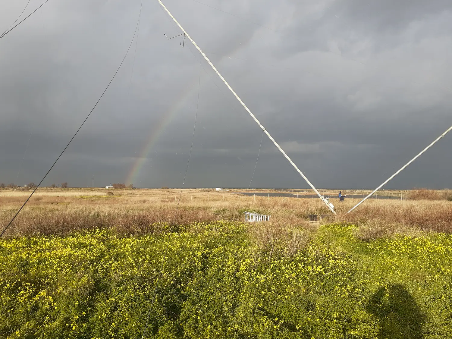 Stazione anemometrica in un campo fiorito, con un arcobaleno dopo la pioggia